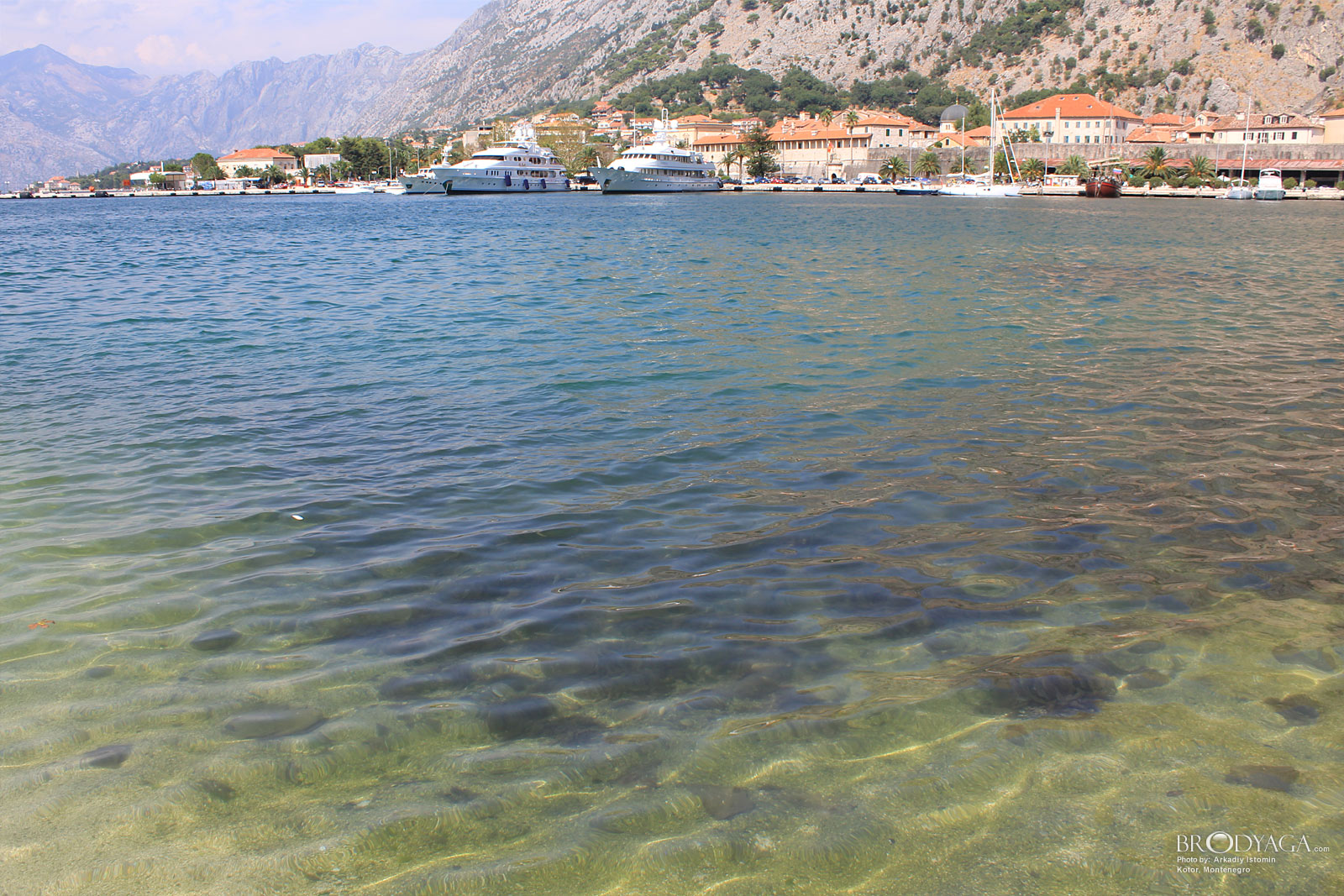 Kotor